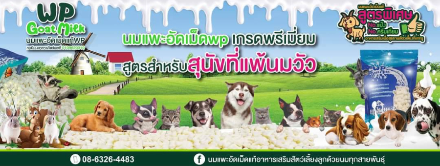 นมแพะอัดเม็ดอาหารเสริมสุนัขและแมว รับตัวแทนจำหน่ายอาหารเสริมสัตว์เลี้ยง